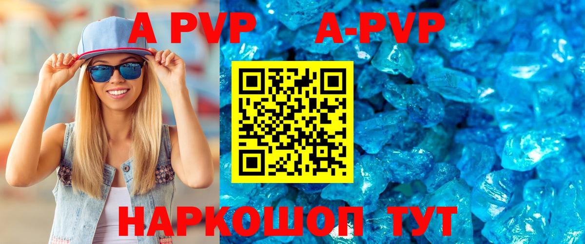 Alfa_PVP СК Курчалой