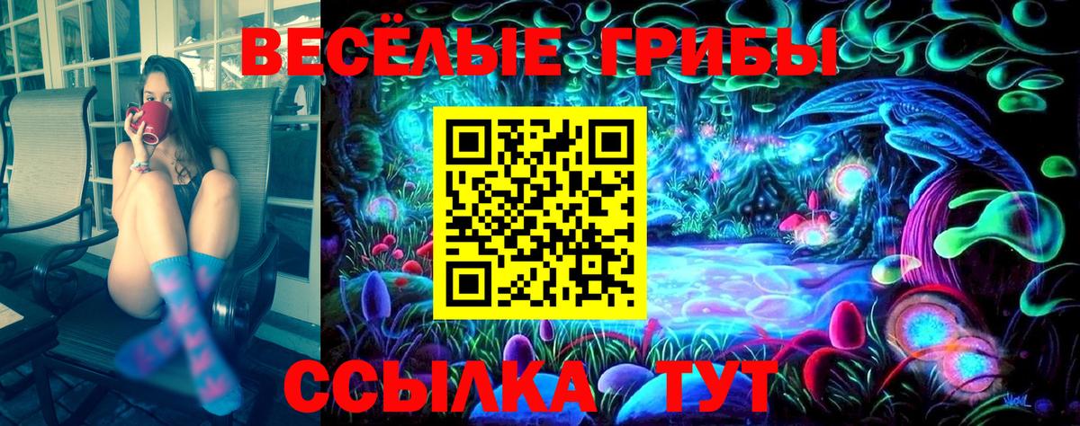 Галлюциногенные грибы мицелий  Вход с VPN  Курчалой 