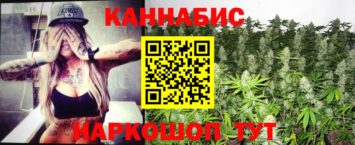 Конопля сатива  Вход с VPN  Каннабис Bruce Banner  Курчалой  Конопля планчик 